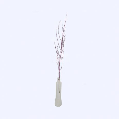 Dried Flowers  - Imported Twigs (Pink)
