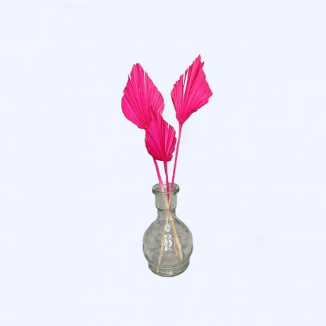 Dried Flowers - Palm Spear - Cerise (Tall)