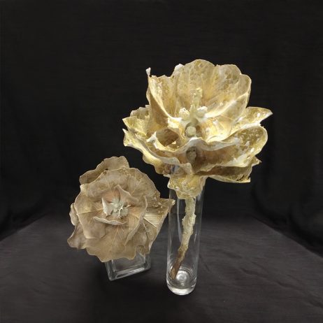 Dried Flowers - Dried Water Brassica Flower 90731
