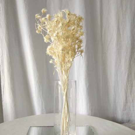 Dried Flowers - Eryngium / Cardo Bleached (Per Bundle)