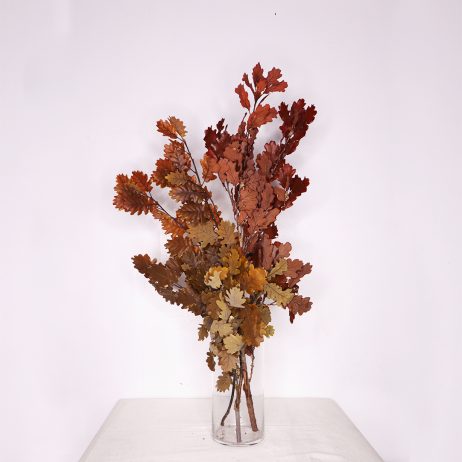 Dried Flower - Oak Leaves Preserved 70cm (Per Bundle)