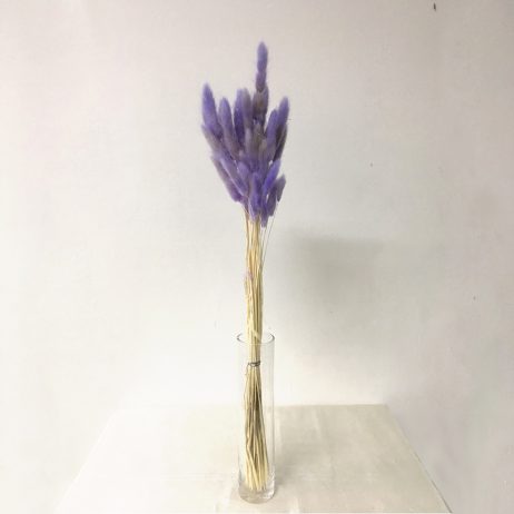 Dried Flower - Lagurus Lavender (Per Bunch)