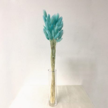 Dried Flowers - Lagurus Light Blue (Per Bunch) 70394