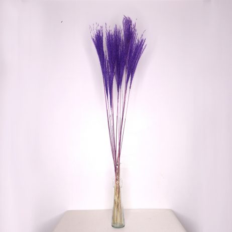 For Sale (La Carlota) - Droogbl Bewert Purple 70cm (Per Stem) L72504