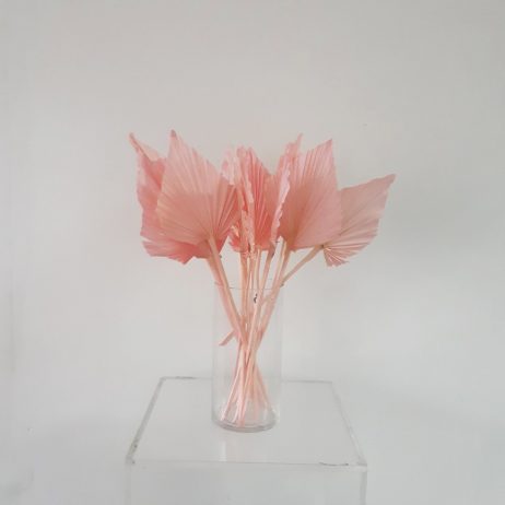 Dried Flowers - Palm Spear Light Pink (Medium) 50733