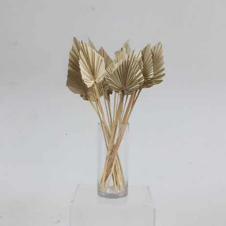 Dried Flower - Palm Spear Dried Natural (TALL)