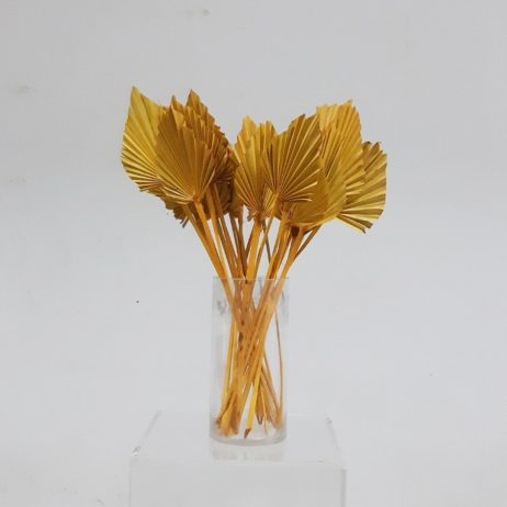 Dried Flower - Palm Spear Rust Gold (TALL)