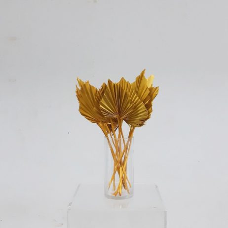 Dried Flower - Palm Spear Rust Gold (MEDIUM)