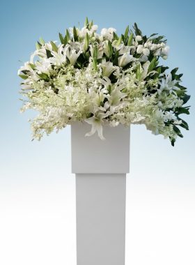 Sympathy Arrangement 1 (78159)