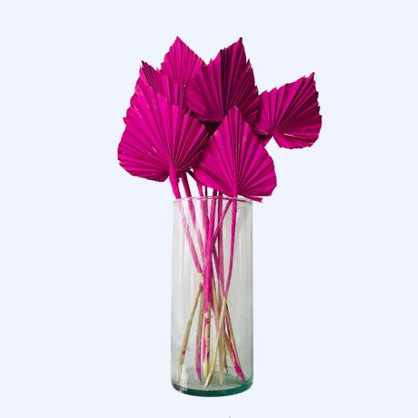 Dried Flowers - Palm Spear Hot Pink (Per Stem) 41549