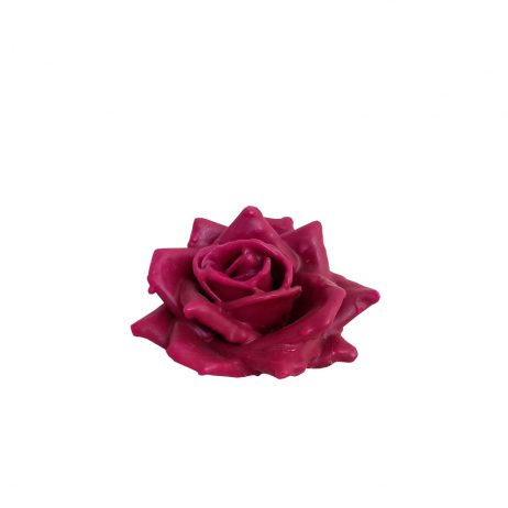 18th Store LCC - Real Roses in Wax (Cerise Rose) L98417