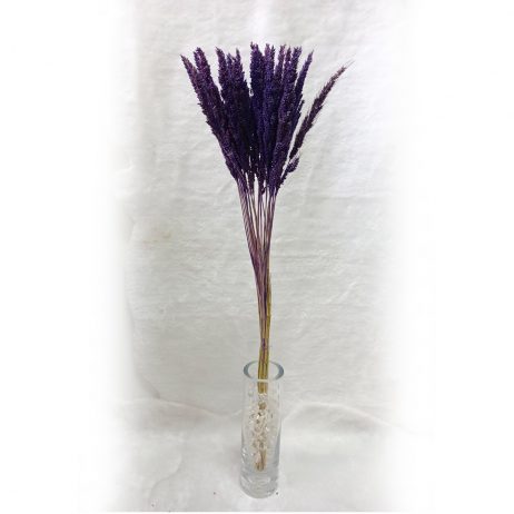 18th Store LCC - Purple Dried Wheat Grass L39711