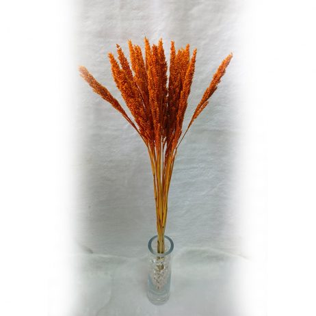 18th Store LCC - Orange Dried Wheat Grass L79805