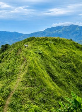 RBG Biao Hilltop (Binalbagan, Negros Occidental) 54482