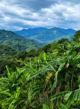 RBG San Juan Leisure Farm (Antipolo, Rizal) 65220