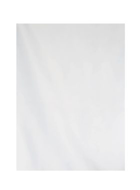 Rentals (Bacolod) - Taffeta Ghost White B46039 [Qty Available: 19 Units]